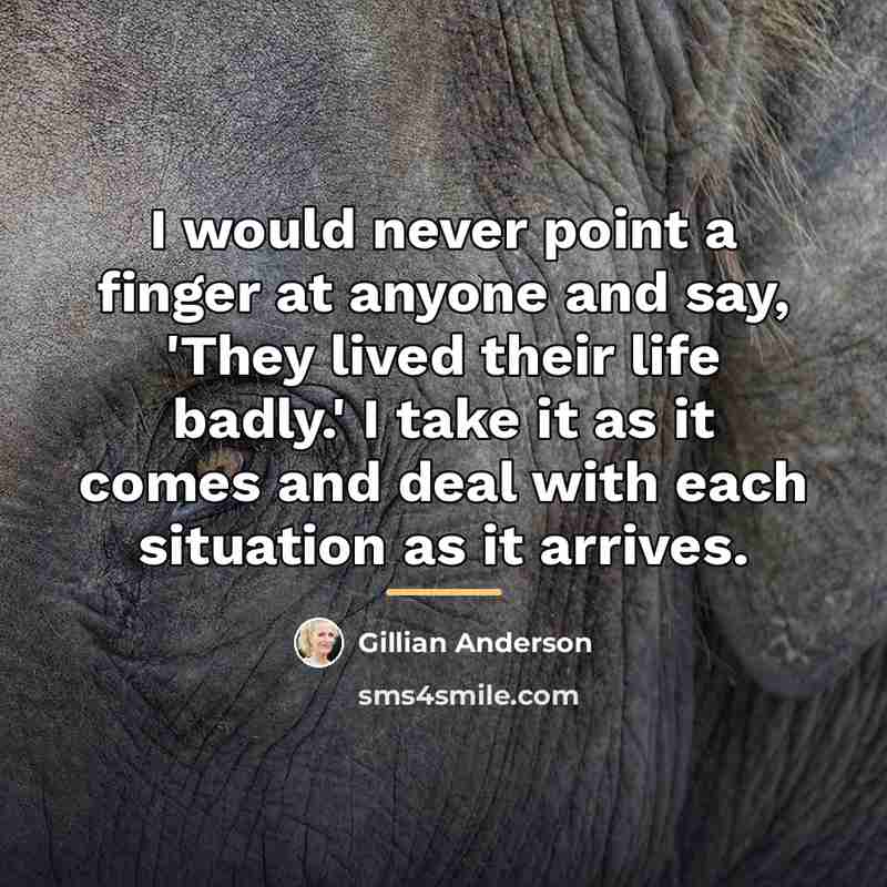 “I would never point a finger at anyone and say,…” quote by Gillian Anderson