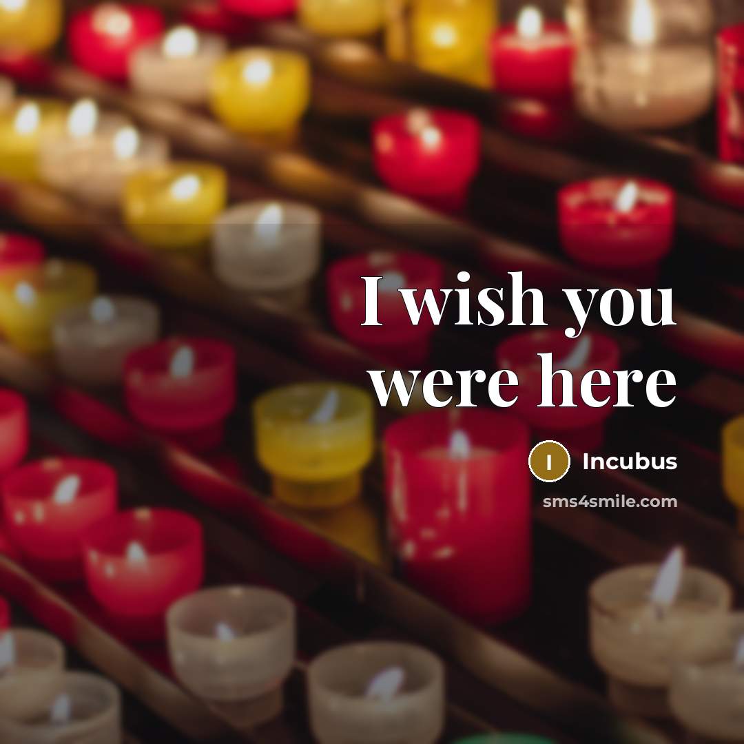 “I wish you were here…” quote by Incubus