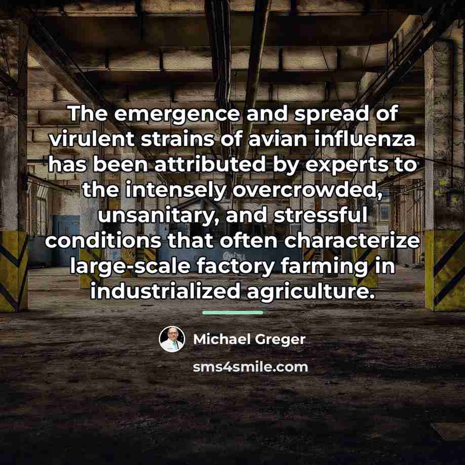 “The emergence and spread of virulent strains of avian influenza…” quote by Michael Greger