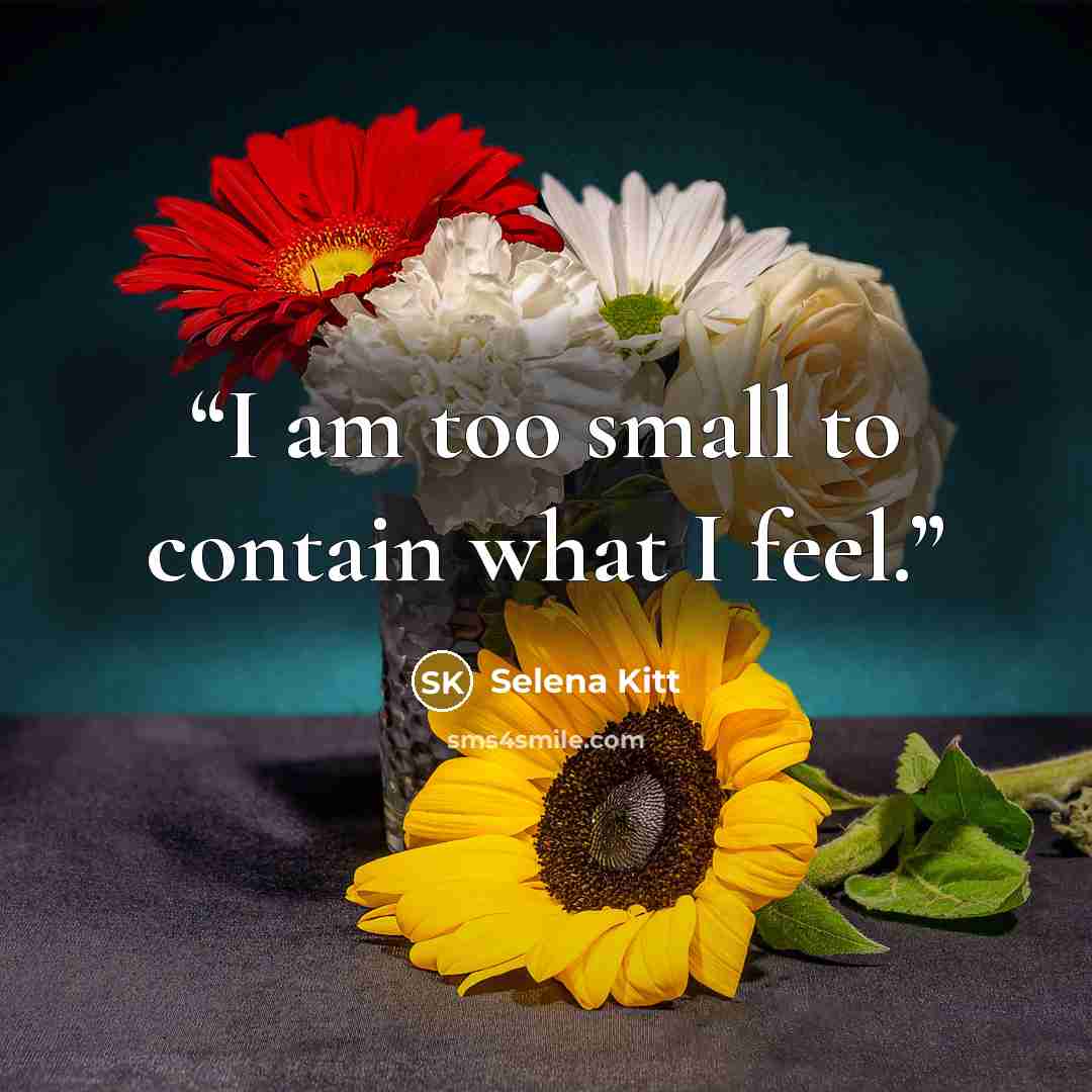 “I am too small to contain what I feel.” quote by Selena Kitt