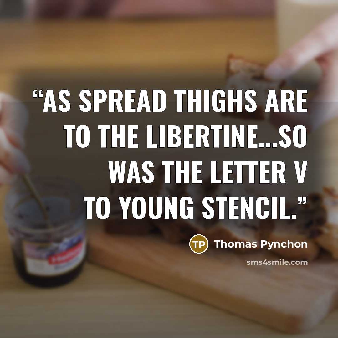 “As spread thighs are to the libertine...so was the letter V to young Stencil.” quote by Thomas Pynchon