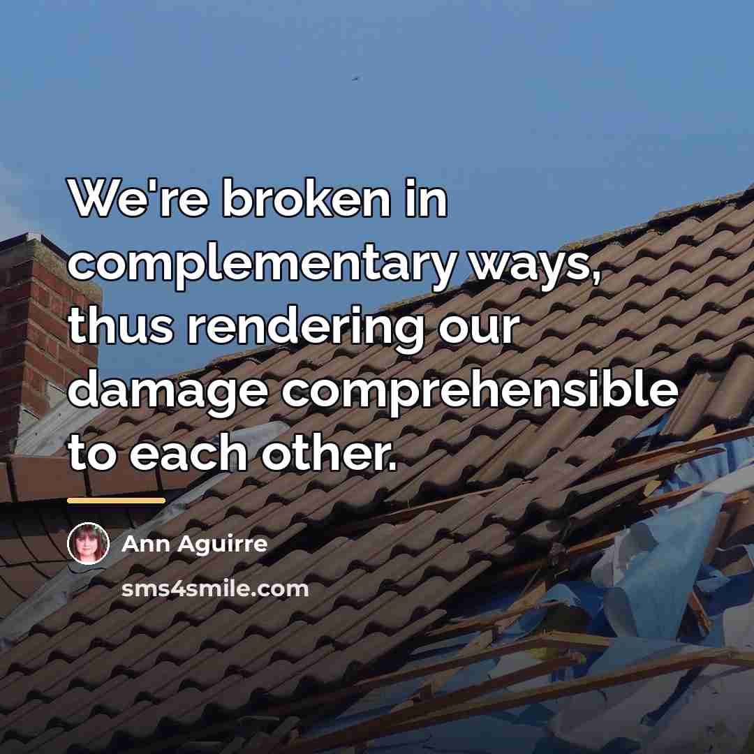 “We're broken in complementary ways, thus rendering our damage comprehensible…” quote by Ann Aguirre