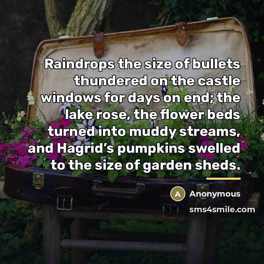 “Raindrops the size of bullets thundered on the castle windows…” quote by Anonymous