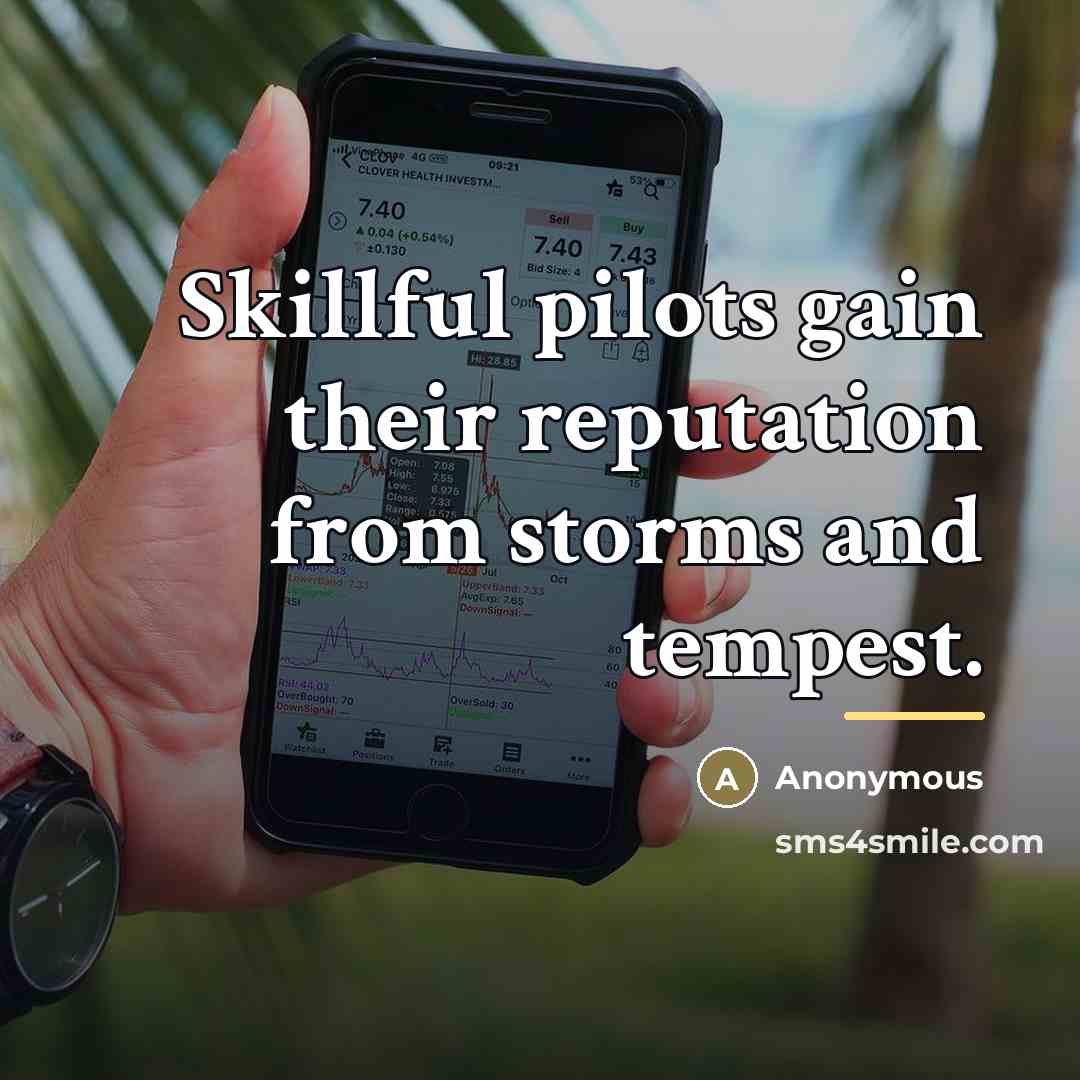 “Skillful pilots gain their reputation from storms and tempest.…” quote by Anonymous