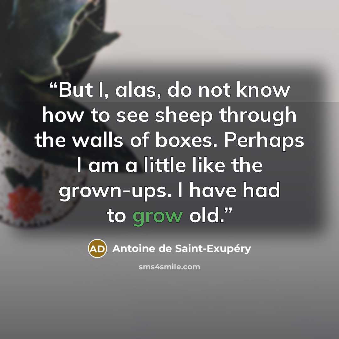 “But I, alas, do not know how to see sheep through the walls of boxes. Perhaps I am a little like the grown-ups. I have had to grow old.” quote by Antoine de Saint-Exupéry