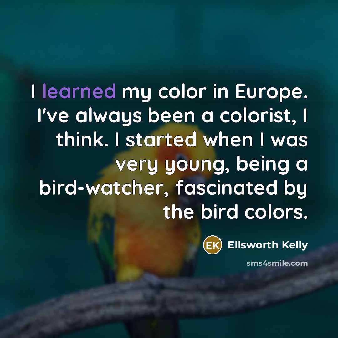 “I learned my color in Europe. I've always been a…” quote by Ellsworth Kelly