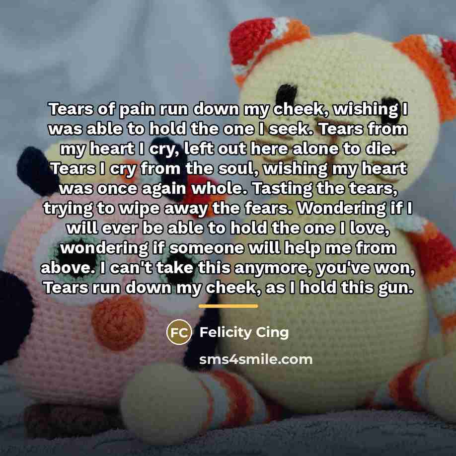 “Tears of pain run down my cheek, wishing I was…” quote by Felicity Cing