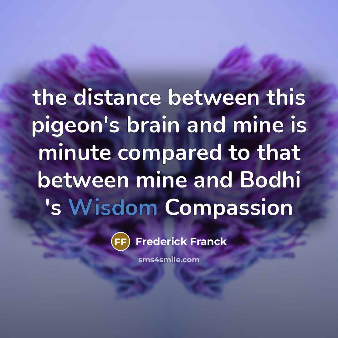 “the distance between this pigeon's brain and mine is minute…” quote by Frederick Franck
