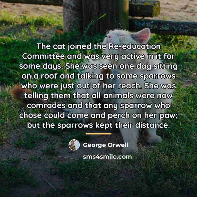 “The cat joined the Re-education Committee and was very active…” quote by George Orwell
