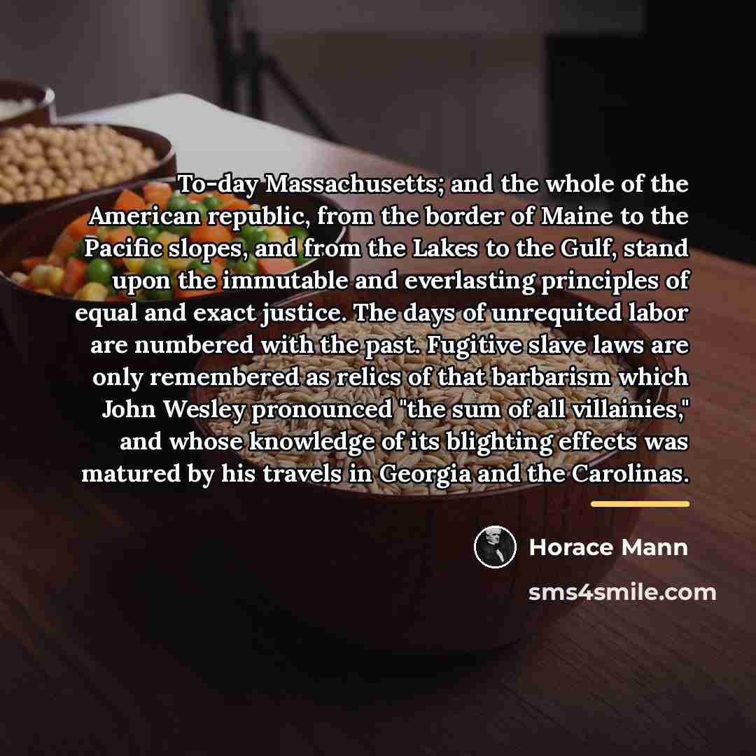 “To-day Massachusetts; and the whole of the American republic, from…” quote by Horace Mann