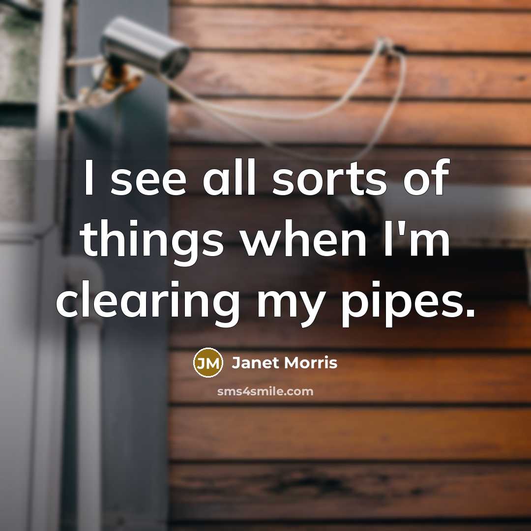 “I see all sorts of things when I'm clearing my…” quote by Janet Morris