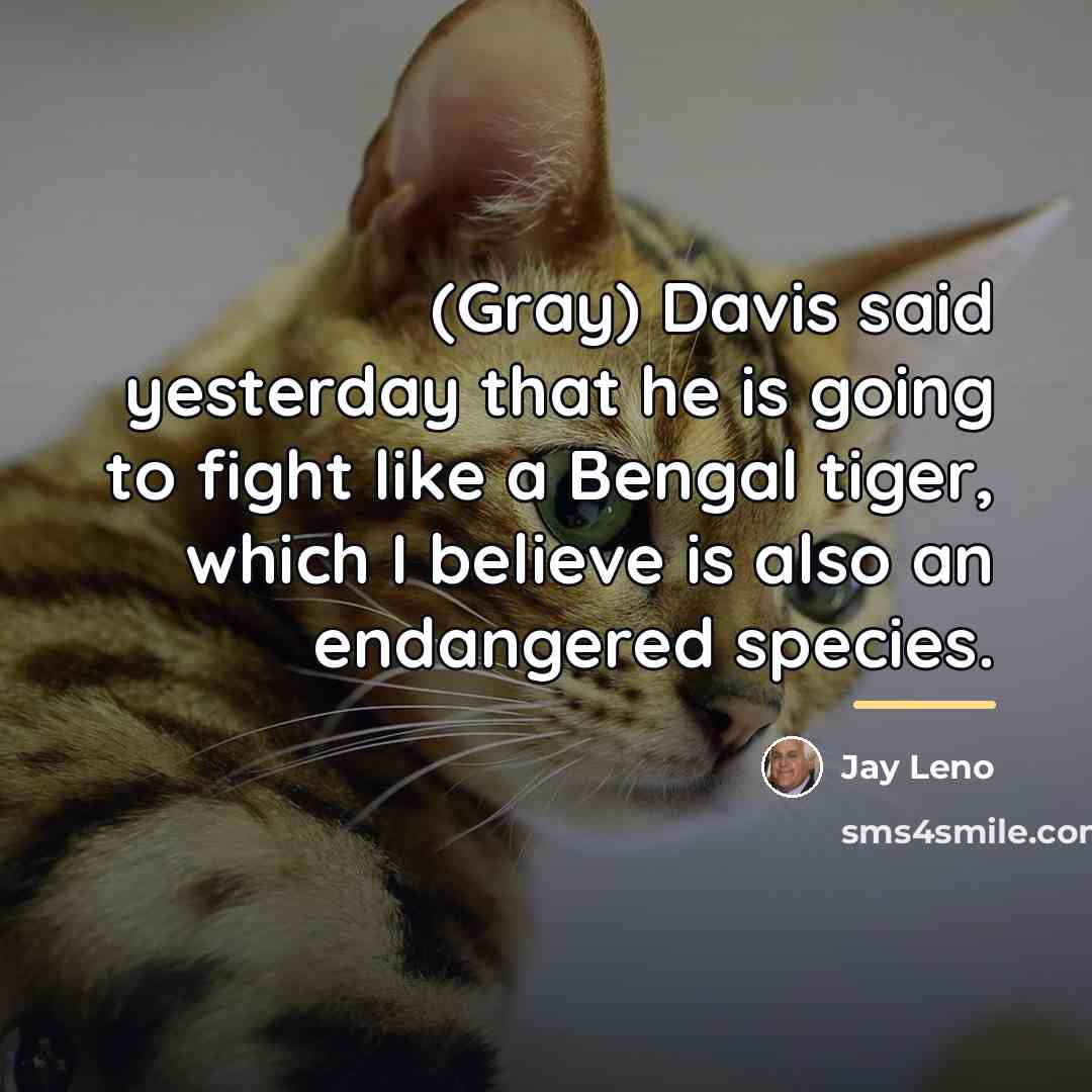 “(Gray) Davis said yesterday that he is going to fight…” quote by Jay Leno