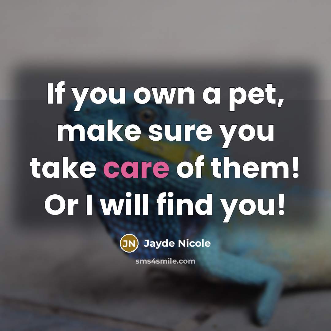 “If you own a pet, make sure you take care of them! Or I will find you!” quote by Jayde Nicole