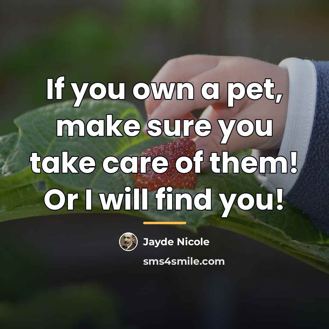 “If you own a pet, make sure you take care…” quote by Jayde Nicole