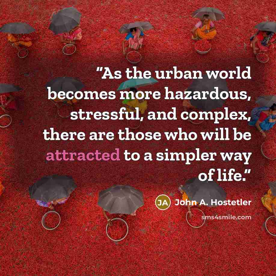 “As the urban world becomes more hazardous, stressful, and complex, there are those who will be attracted to a simpler way of life.” quote by John A. Hostetler