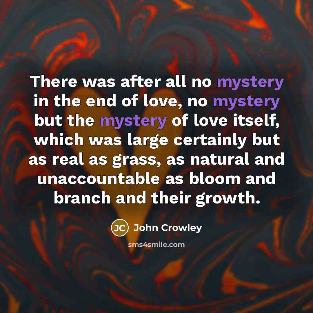 “There was after all no mystery in the end of…” quote by John Crowley