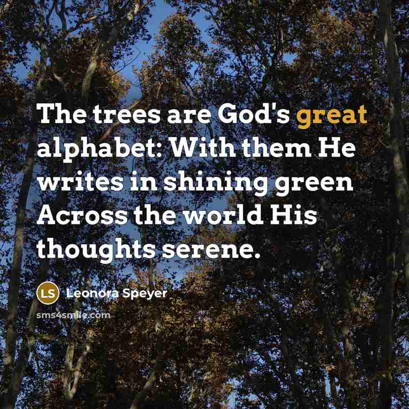 “The trees are God's great alphabet: With them He writes…” quote by Leonora Speyer