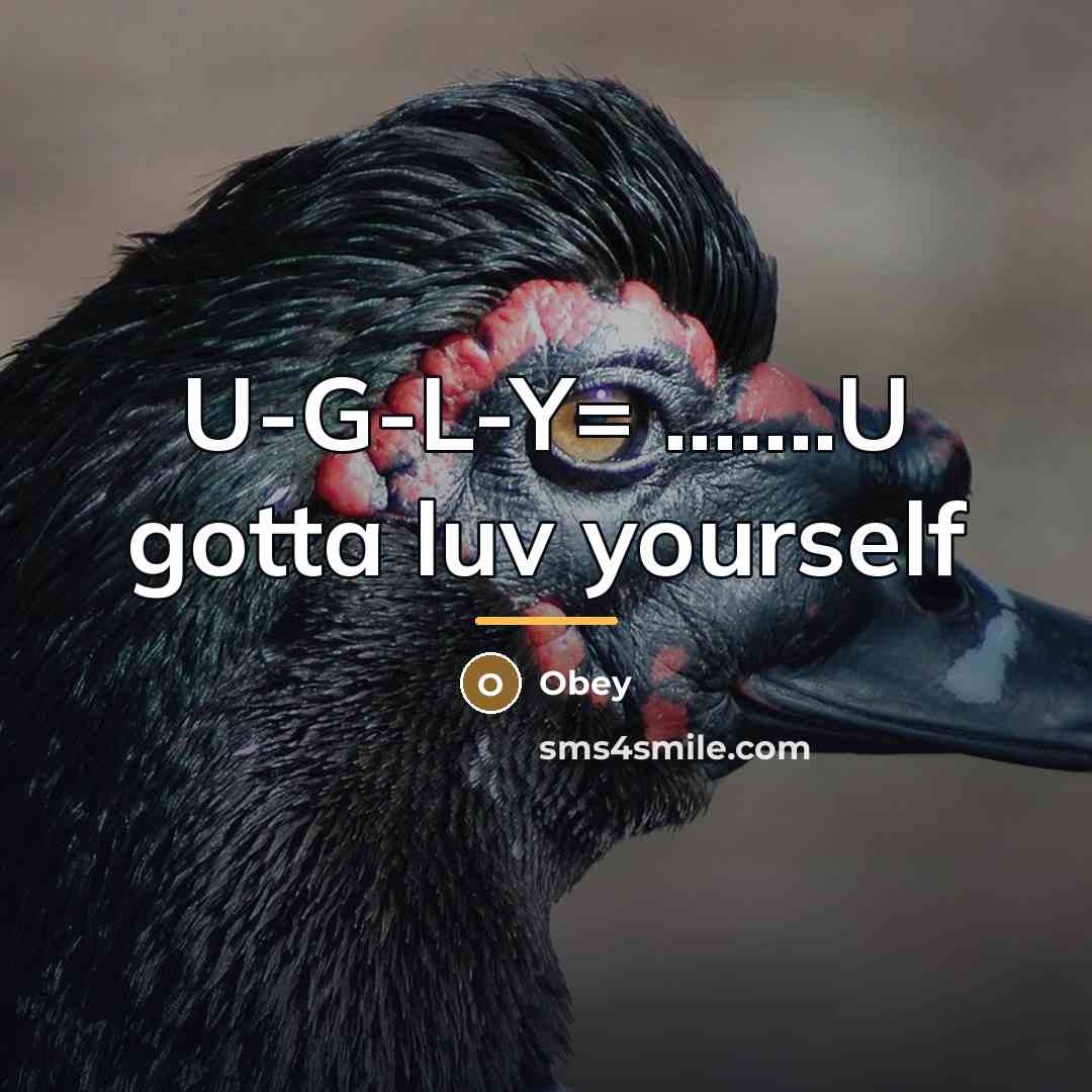 “U-G-L-Y= .......U gotta luv yourself…” quote by Obey