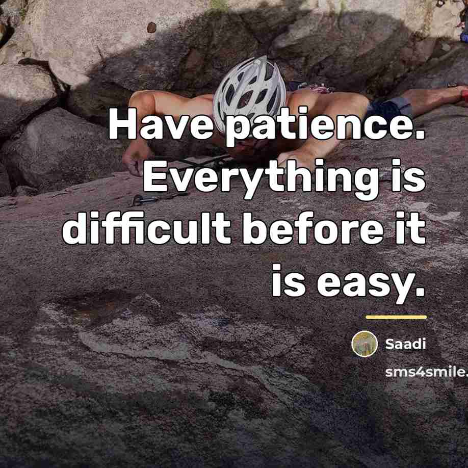 “Have patience. Everything is difficult before it is easy.…” quote by Saadi