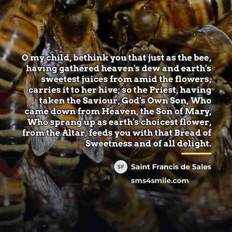 “O my child, bethink you that just as the bee,…” quote by Saint Francis de Sales