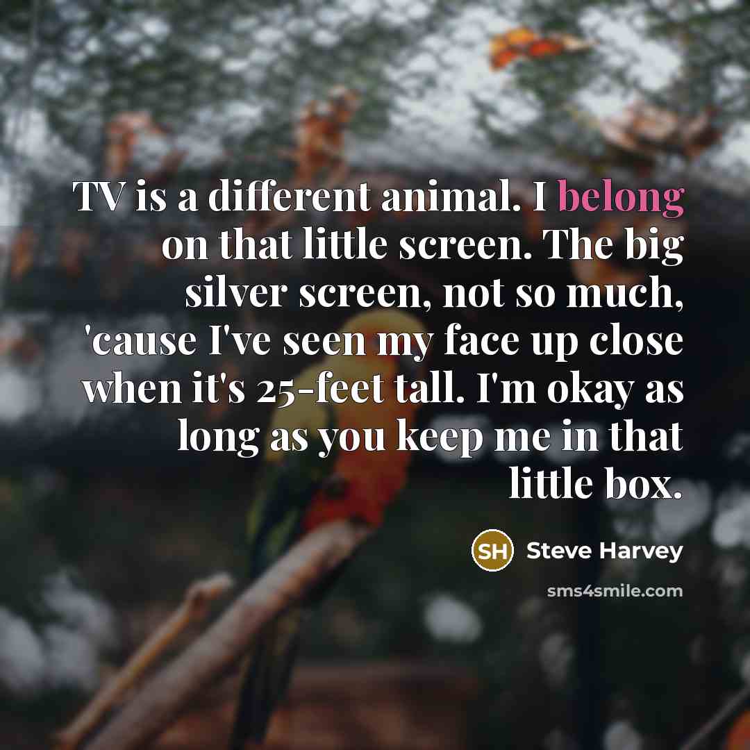 “TV is a different animal. I belong on that little…” quote by Steve Harvey