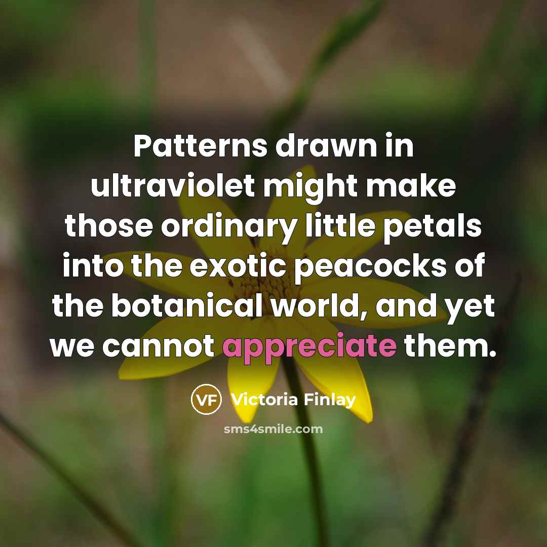 “Patterns drawn in ultraviolet might make those ordinary little petals…” quote by Victoria Finlay