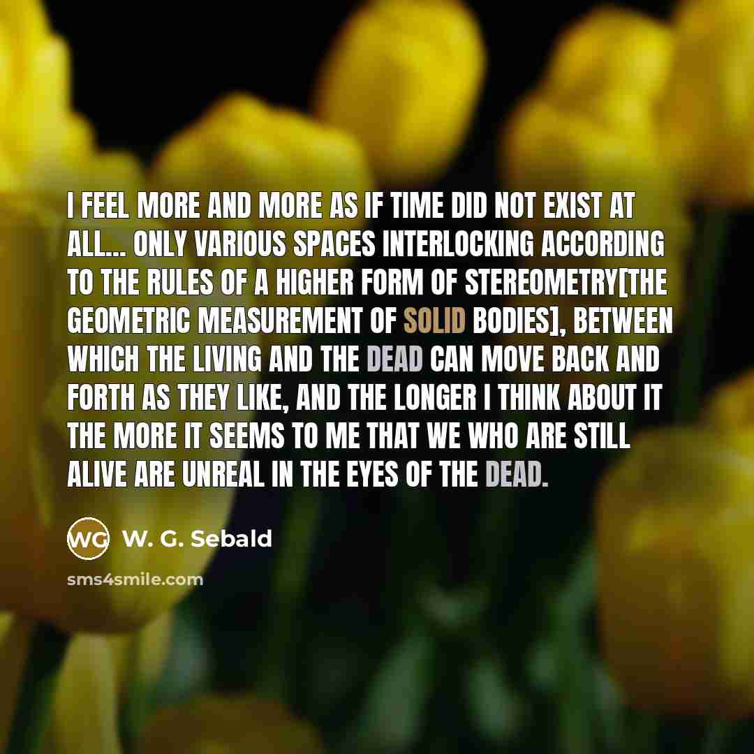 “I feel more and more as if time did not…” quote by W. G. Sebald