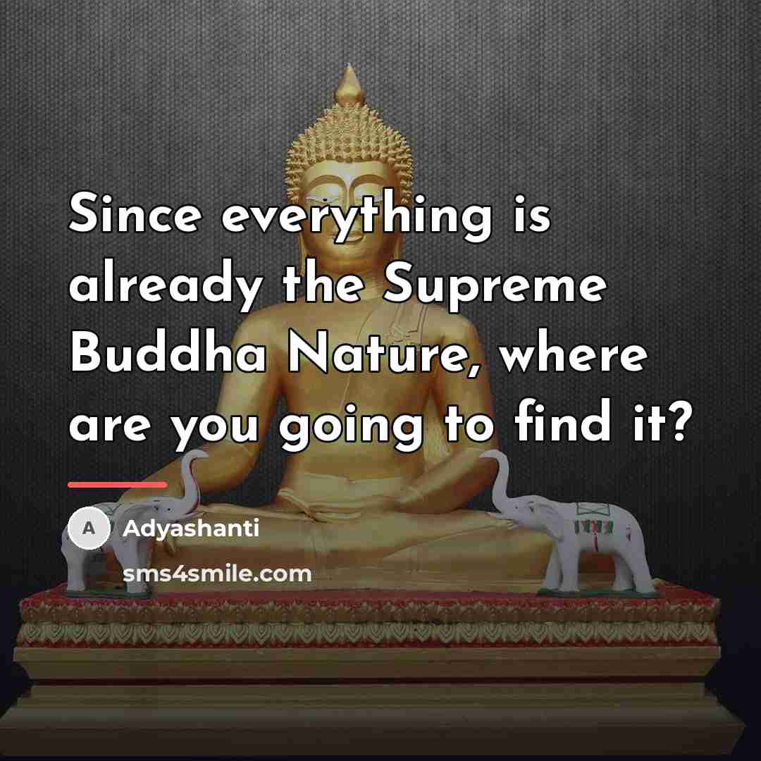 “Since everything is already the Supreme Buddha Nature, where are…” quote by Adyashanti