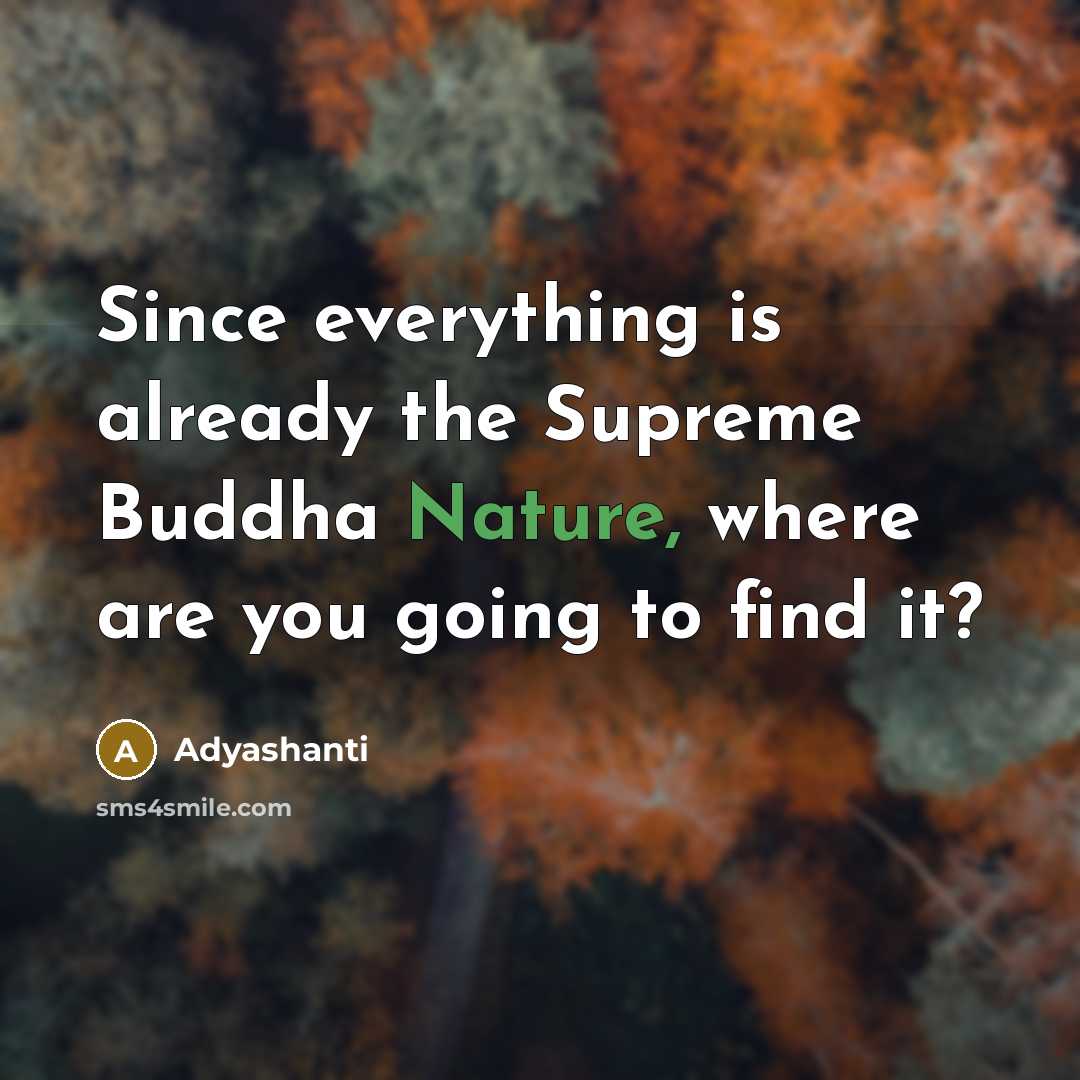 “Since everything is already the Supreme Buddha Nature, where are you going to find it?” quote by Adyashanti