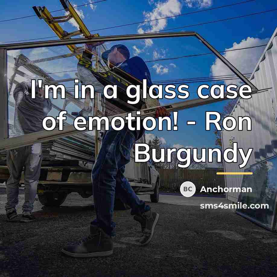 “I'm in a glass case of emotion! - Ron Burgundy…” quote by Anchorman