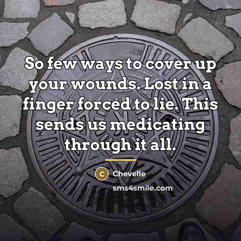 “So few ways to cover up your wounds. Lost in…” quote by Chevelle