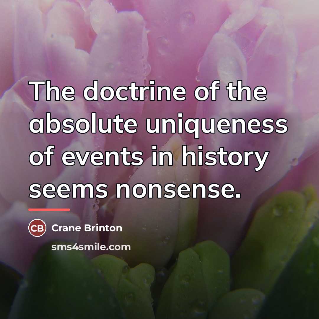 “The doctrine of the absolute uniqueness of events in history…” quote by Crane Brinton