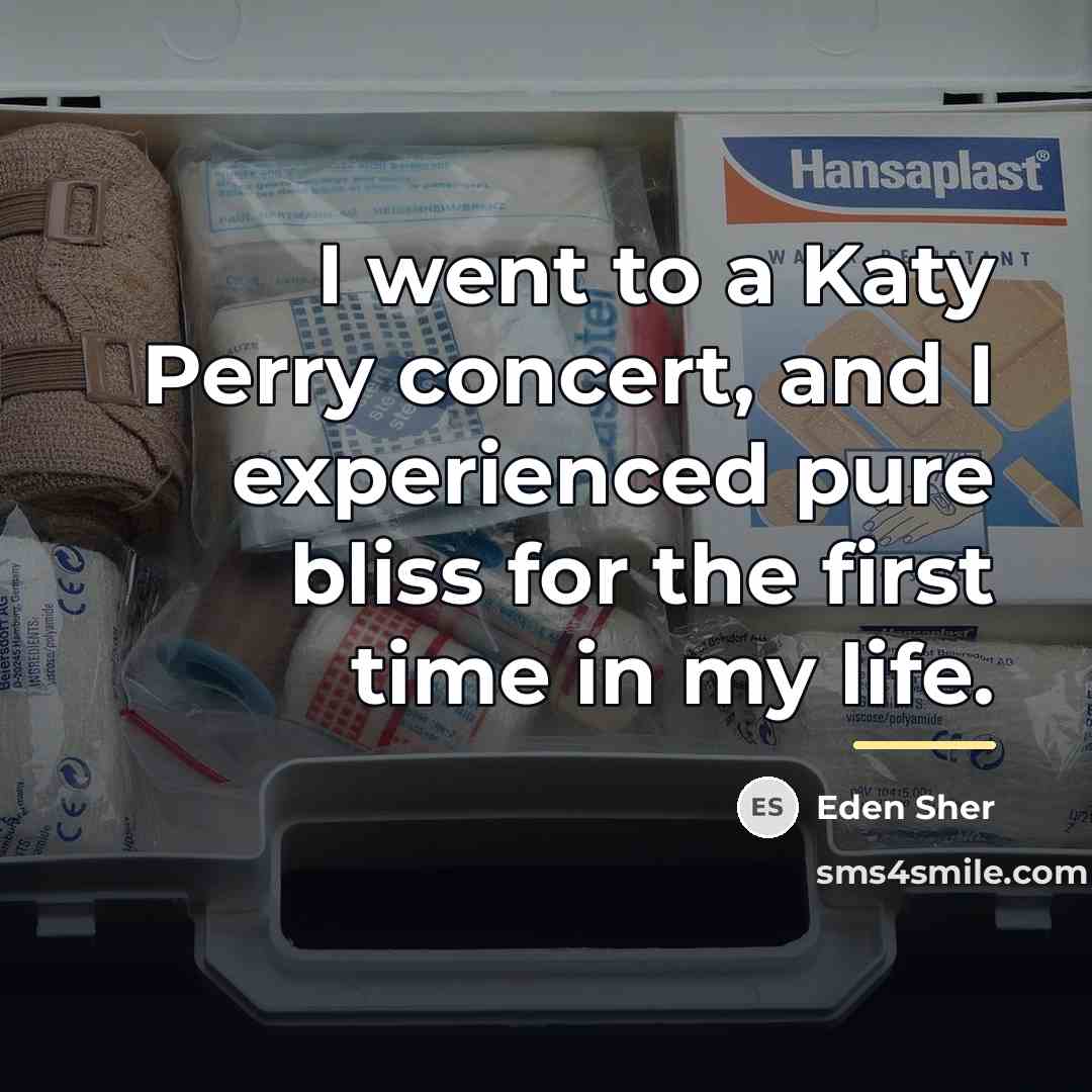 “I went to a Katy Perry concert, and I experienced…” quote by Eden Sher