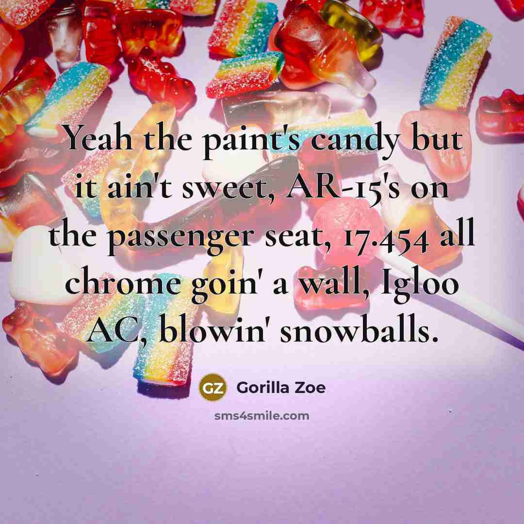 “Yeah the paint's candy but it ain't sweet, AR-15's on…” quote by Gorilla Zoe