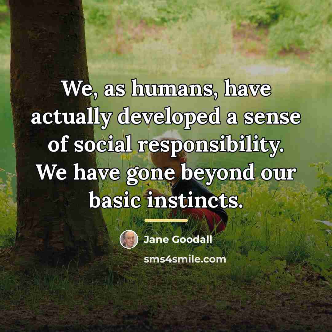 “We, as humans, have actually developed a sense of social…” quote by Jane Goodall