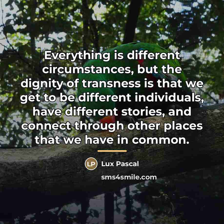 “Everything is different circumstances, but the dignity of transness is…” quote by Lux Pascal