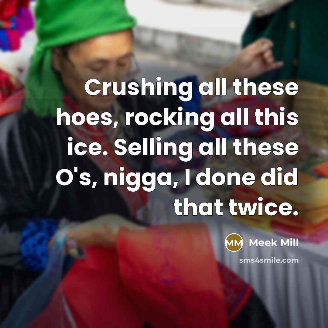 “Crushing all these hoes, rocking all this ice. Selling all…” quote by Meek Mill