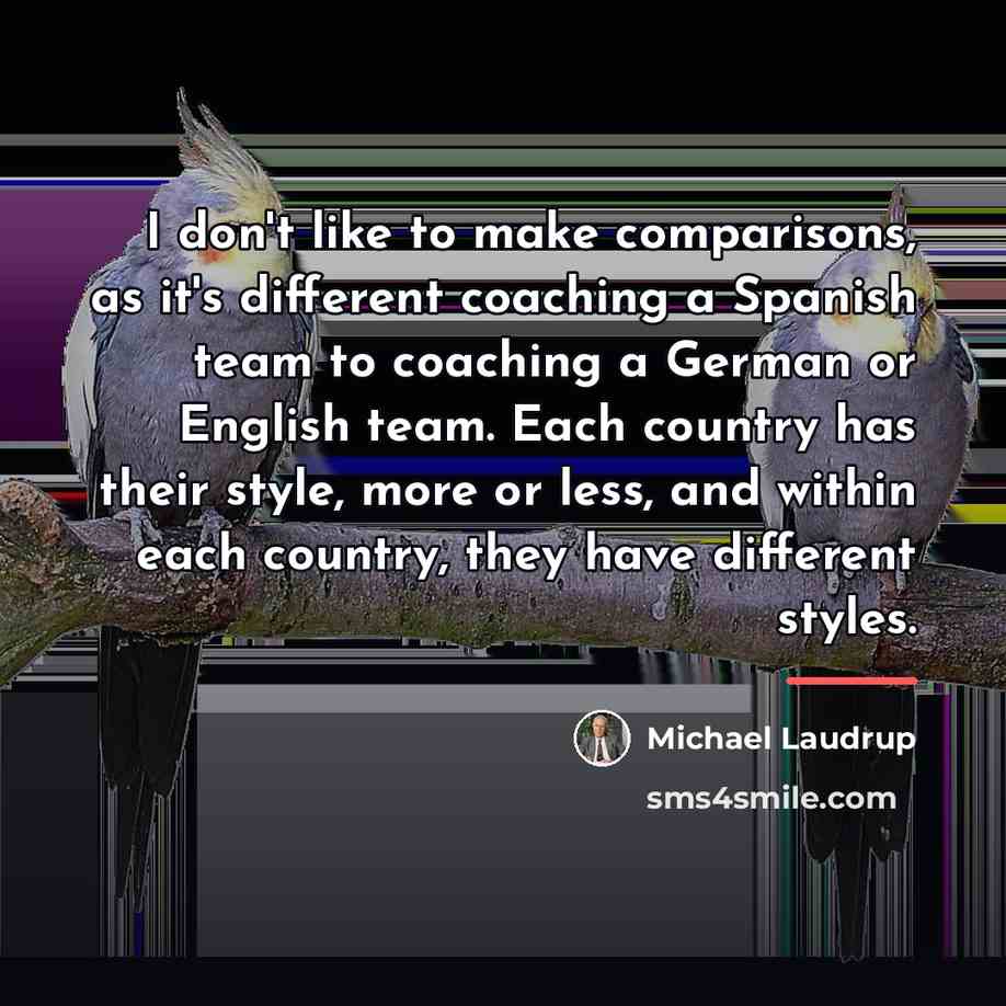“I don't like to make comparisons, as it's different coaching…” quote by Michael Laudrup