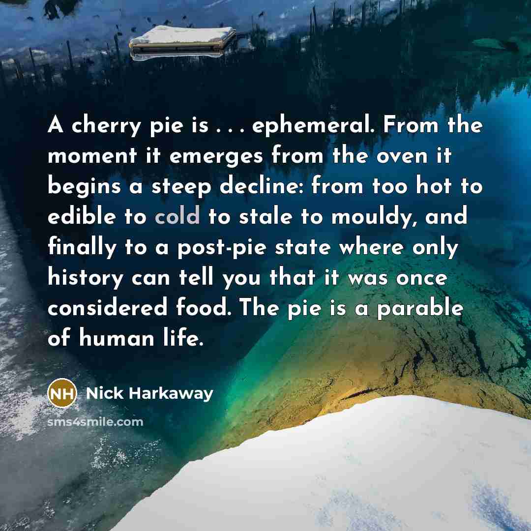 “A cherry pie is . . . ephemeral. From the…” quote by Nick Harkaway