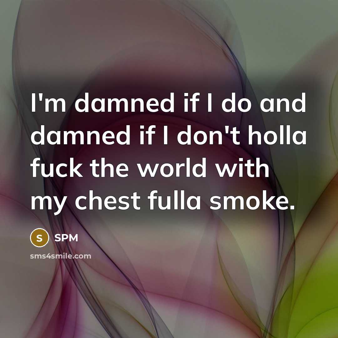 “I'm damned if I do and damned if I don't holla fuck the world with my chest fulla smoke.” quote by SPM