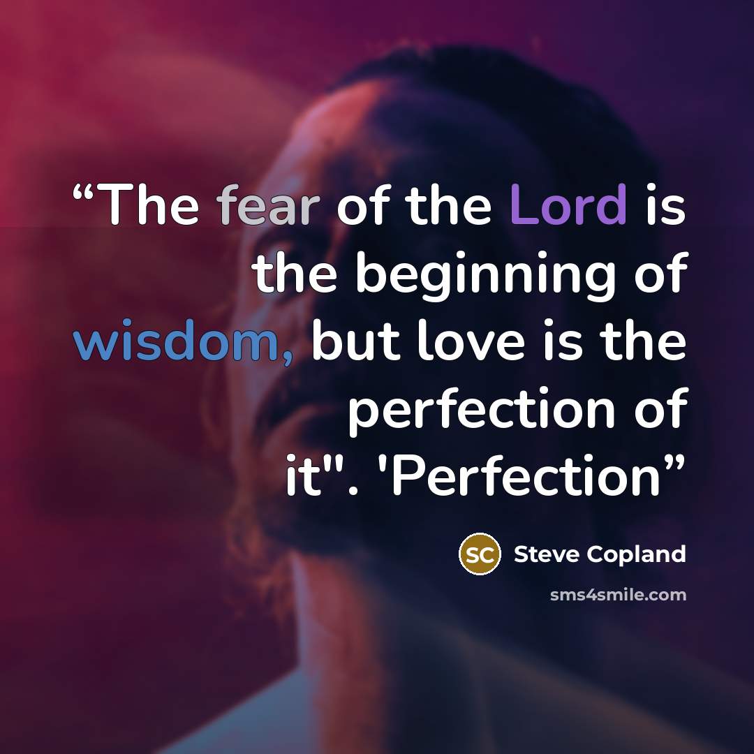 “The fear of the Lord is the beginning of wisdom, but love is the perfection of it". 'Perfection” quote by Steve Copland