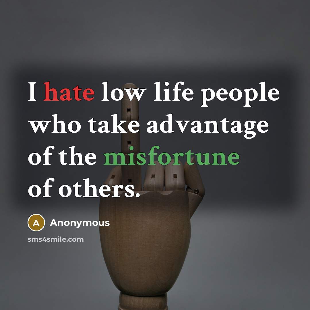 “I hate low life people who take advantage of the misfortune of others.” quote by Anonymous