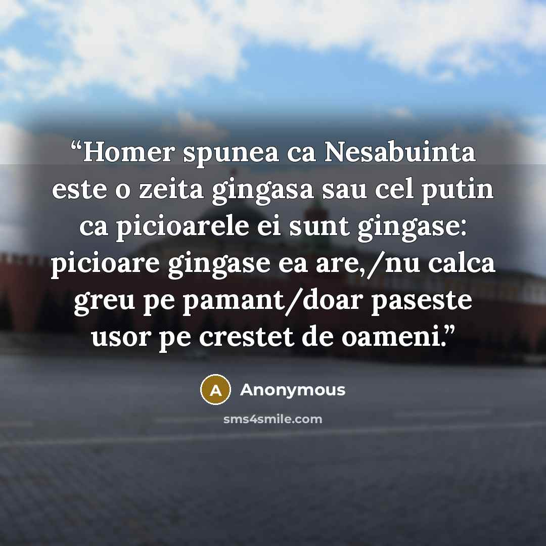 “Homer spunea ca Nesabuinta este o zeita gingasa sau cel putin ca picioarele ei sunt gingase: picioare gingase ea are,/nu calca greu pe pamant/doar paseste usor pe crestet de oameni.” quote by Anonymous