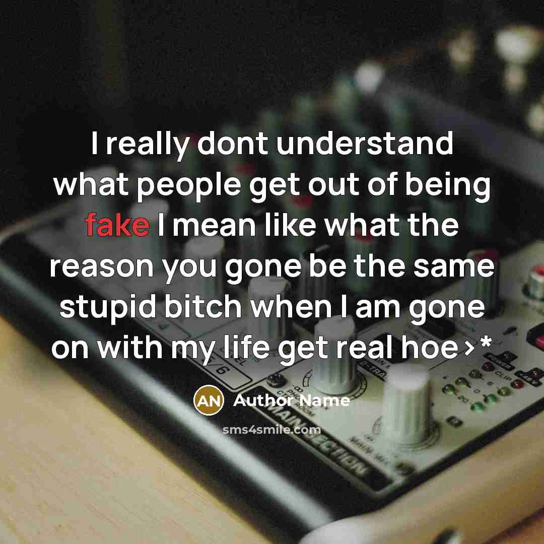 “I really dont understand what people get out of being fake I mean like what the reason you gone be the same stupid bitch when I am gone on with my life get real hoe>*” quote by Author Name
