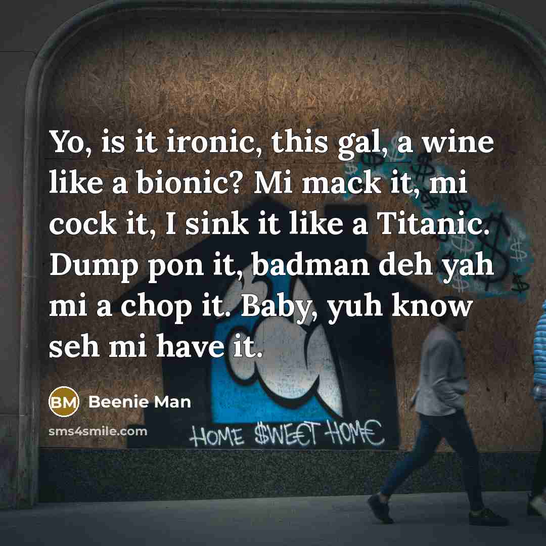 “Yo, is it ironic, this gal, a wine like a…” quote by Beenie Man