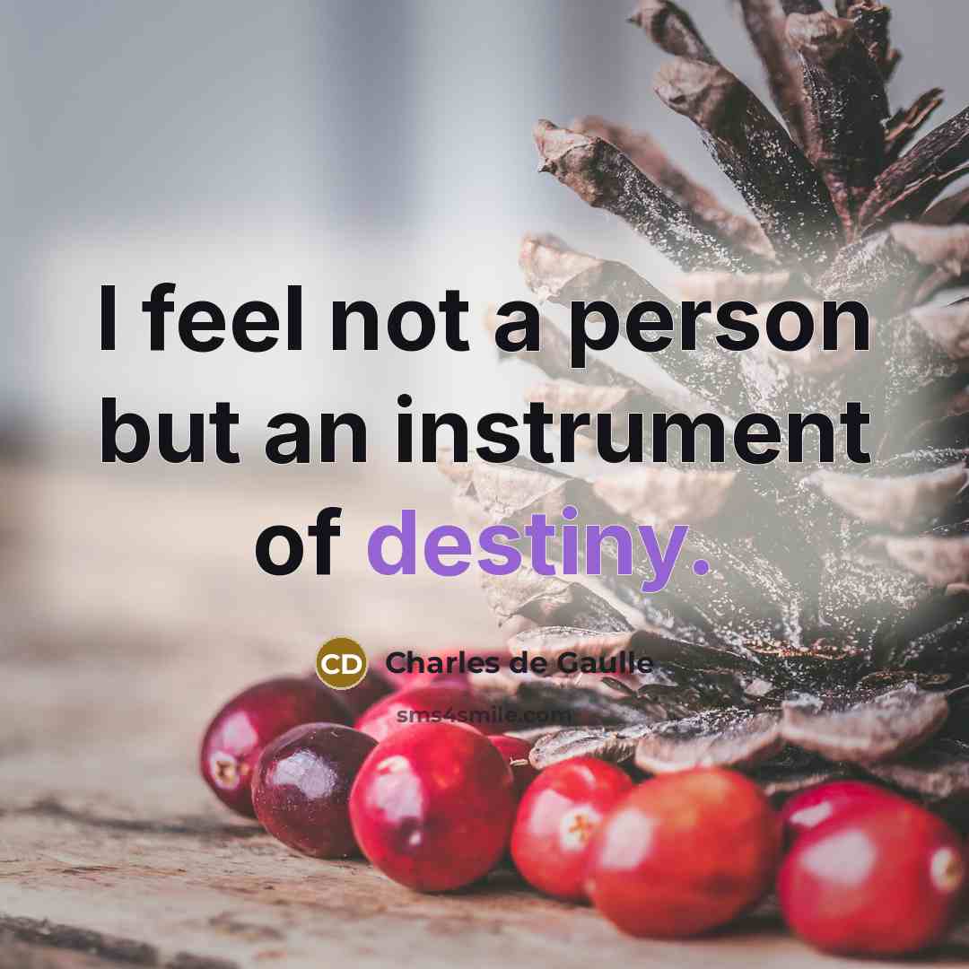 “I feel not a person but an instrument of destiny.…” quote by Charles de Gaulle