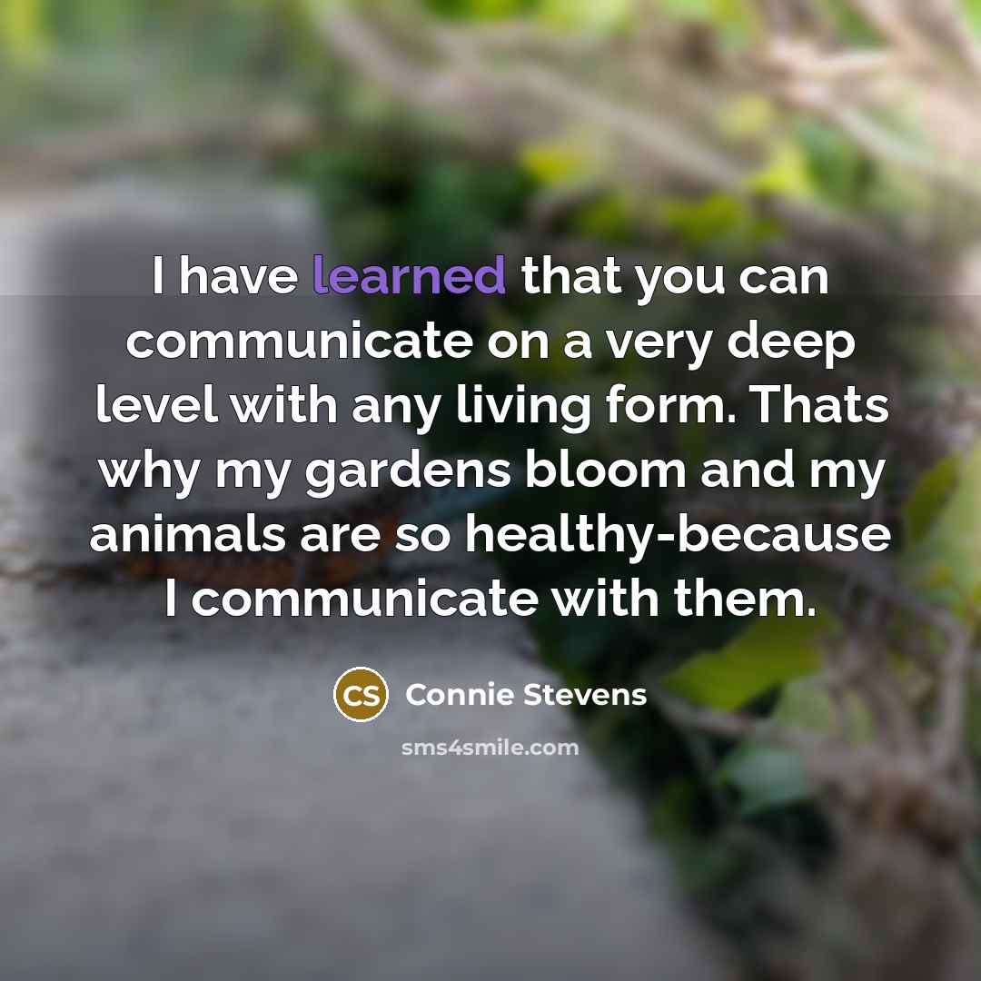 “I have learned that you can communicate on a very…” quote by Connie Stevens