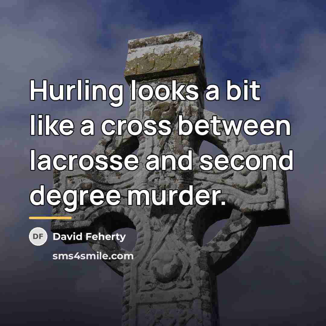 “Hurling looks a bit like a cross between lacrosse and…” quote by David Feherty