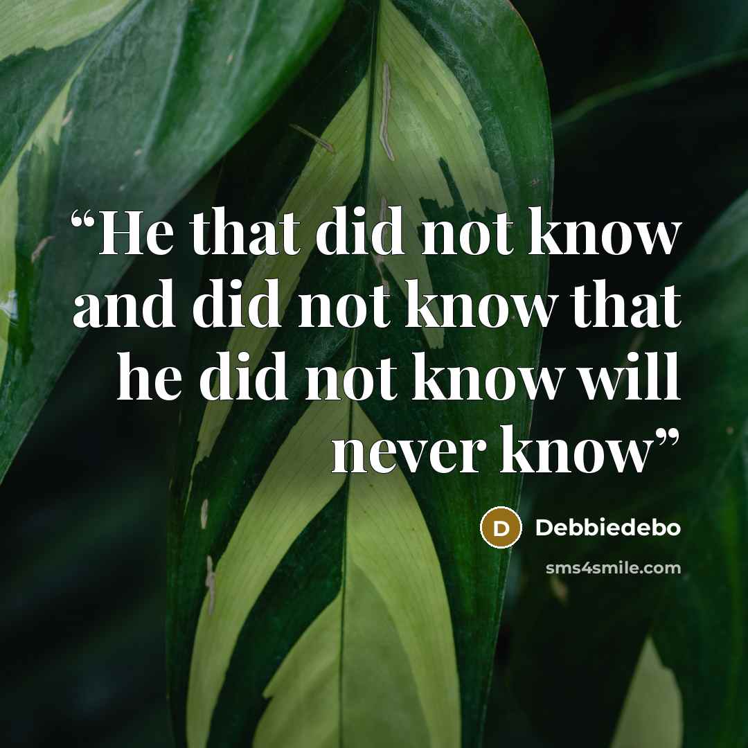 “He that did not know and did not know that he did not know will never know” quote by Debbiedebo
