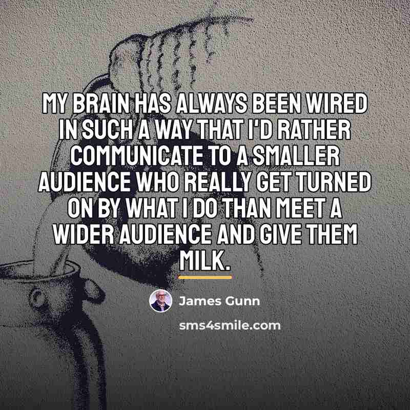 “My brain has always been wired in such a way…” quote by James Gunn